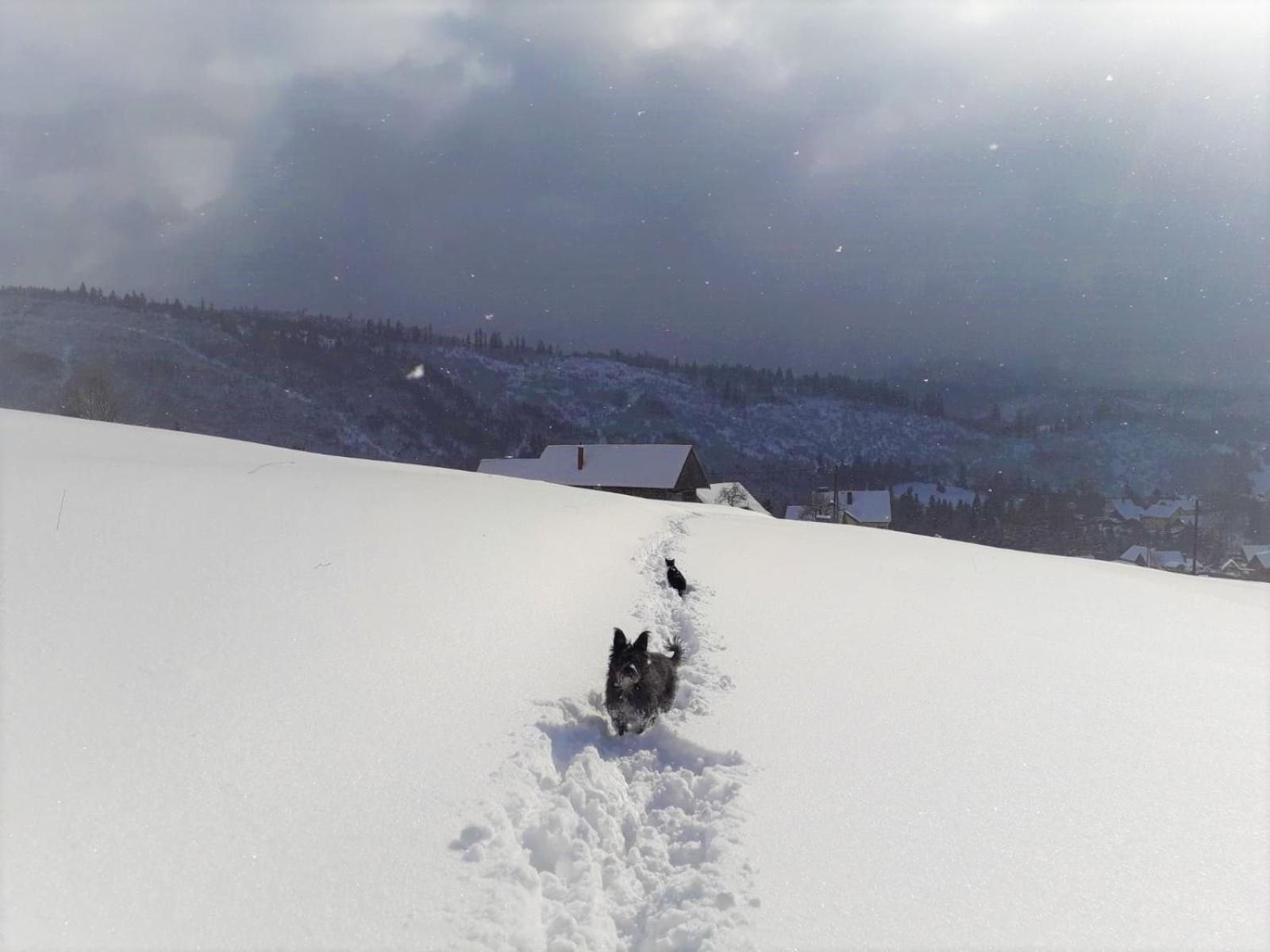 Osada Bura Polana Holiday home Ujsoly