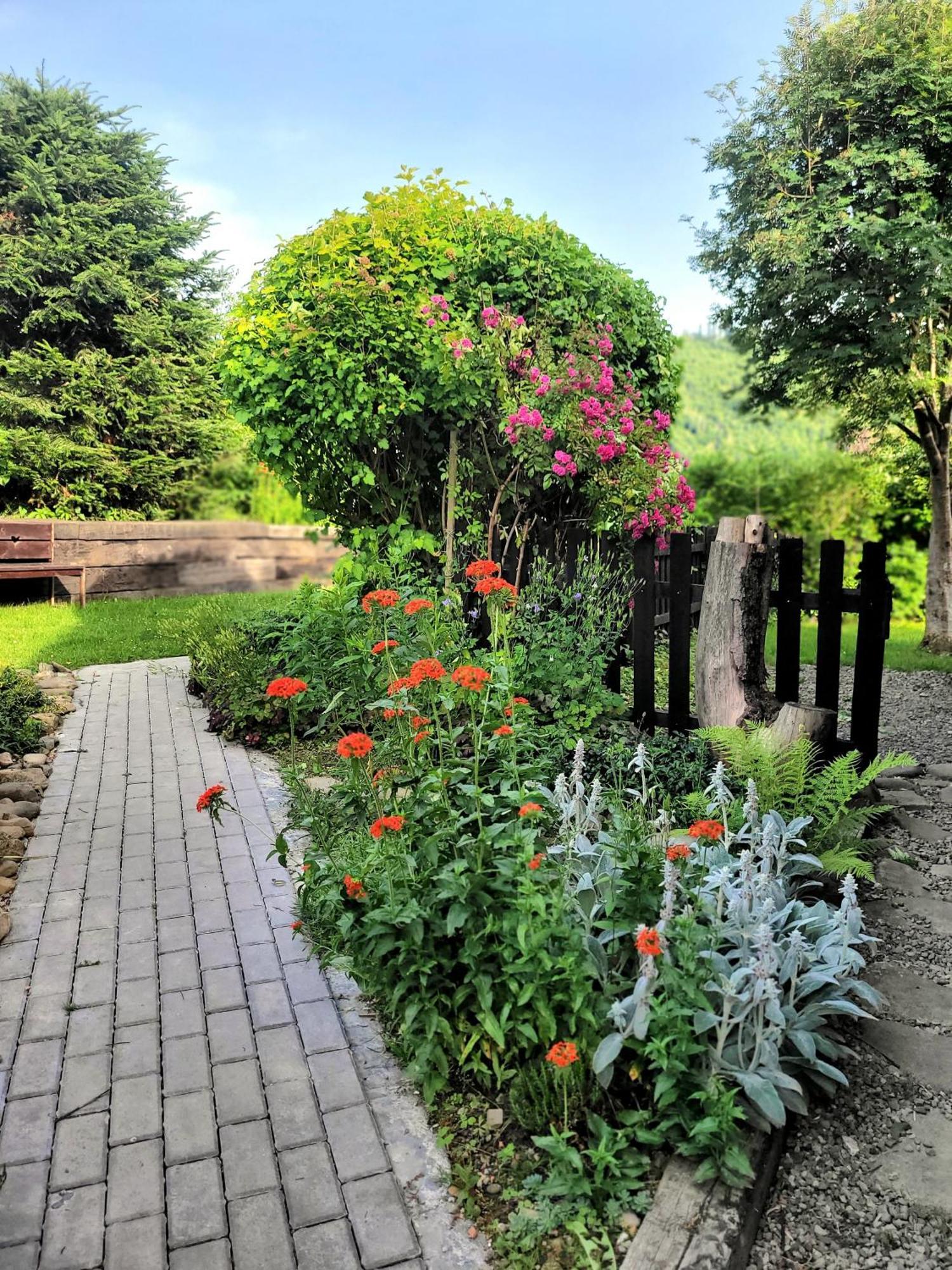 Osada Bura Polana Holiday home